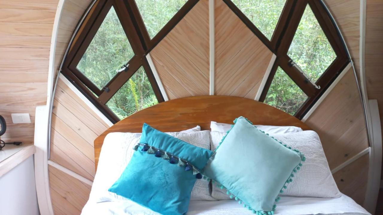 Cabanas Los Volcanes Ensenada Puerto Varas Buitenkant foto